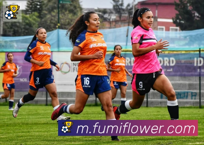 博亚app官网APP 高清赛事图