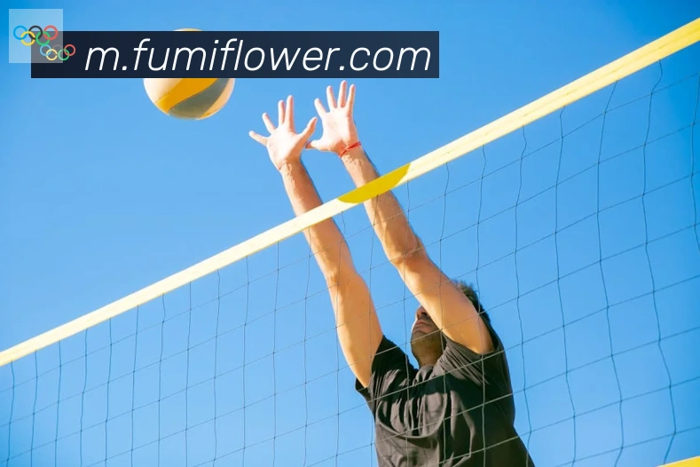 博亚app官网荣誉