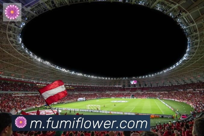 博亚app官网荣誉