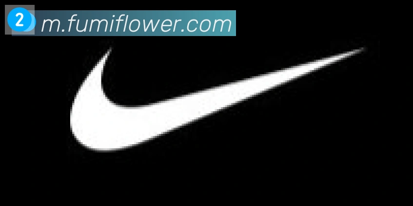 博亚app官网合作伙伴