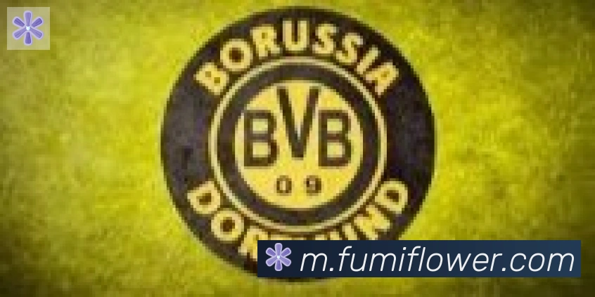 博亚app官网合作伙伴