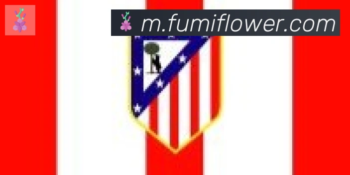 博亚app官网合作伙伴